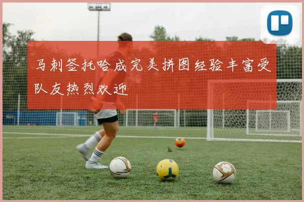 马刺签托哈成完美拼图经验丰富受队友热烈欢迎